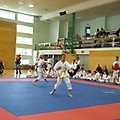 DSCF7167